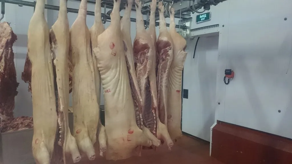 свинина от производителя в Белгороде в Белгороде