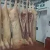свинина от производителя в Белгороде в Белгороде