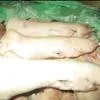 ноги свиные задние в Белгороде