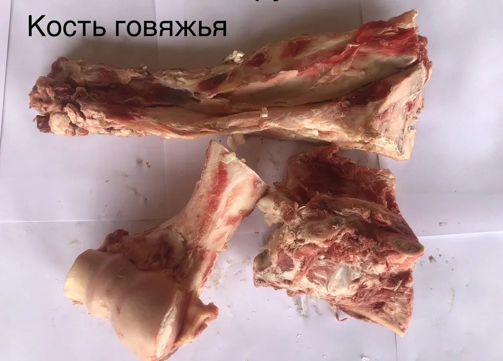 кость говяжья в Белгороде и Белгородской области