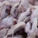 В 2022 году в Белгородской области выросли объёмы производства мяса птицы