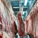 Белгородская область: Власти выделили 3 млн рублей на создание мини-цеха по переработке мяса