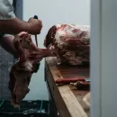 В Белгороде разыскивают владельцев потерянного мяса