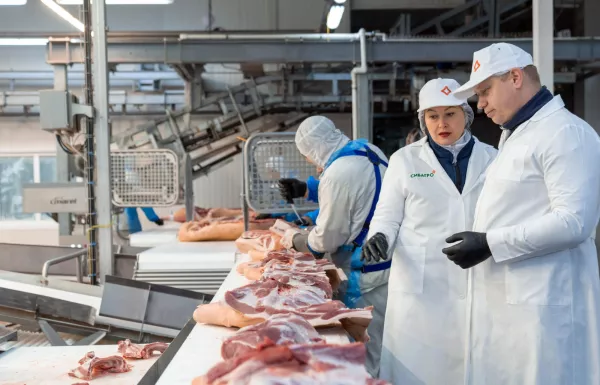 Белгородский свинокомплекс "Сибагро" завершил модернизацию мясокомбината