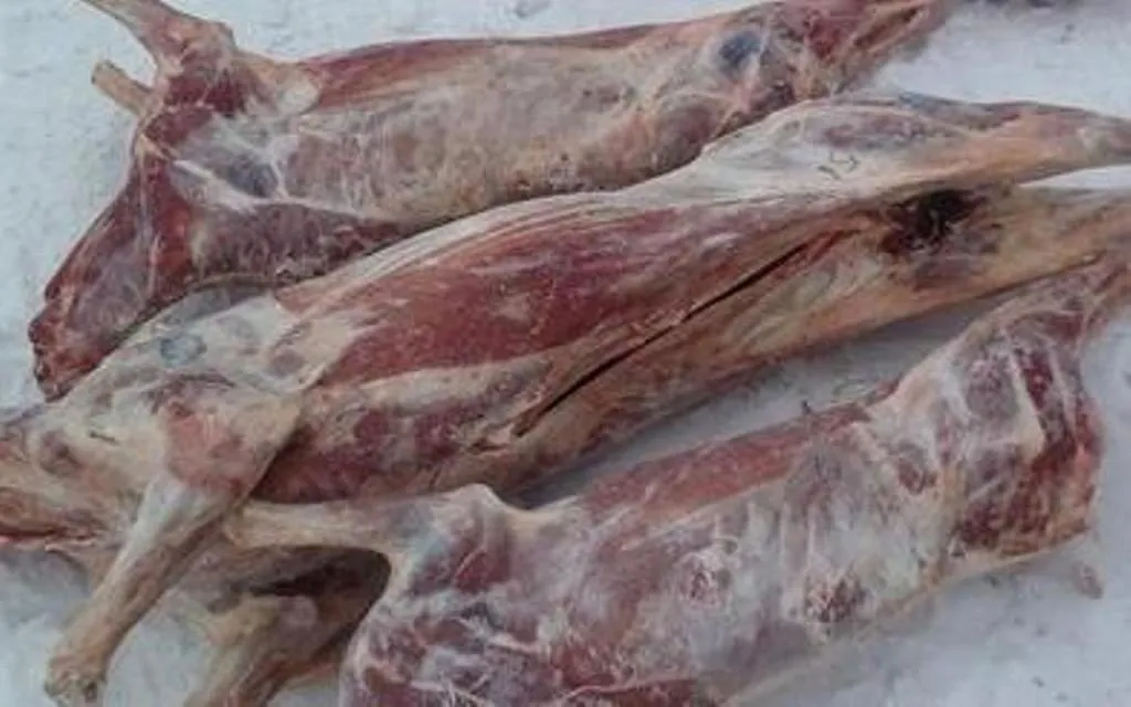 фотография продукта Мясо дикого северного оленя
