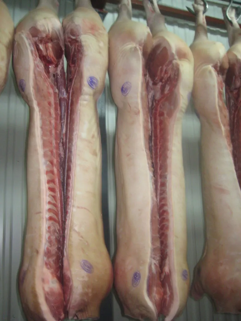 фотография продукта Экспорт свинины в  (ДНР, ЛНР)