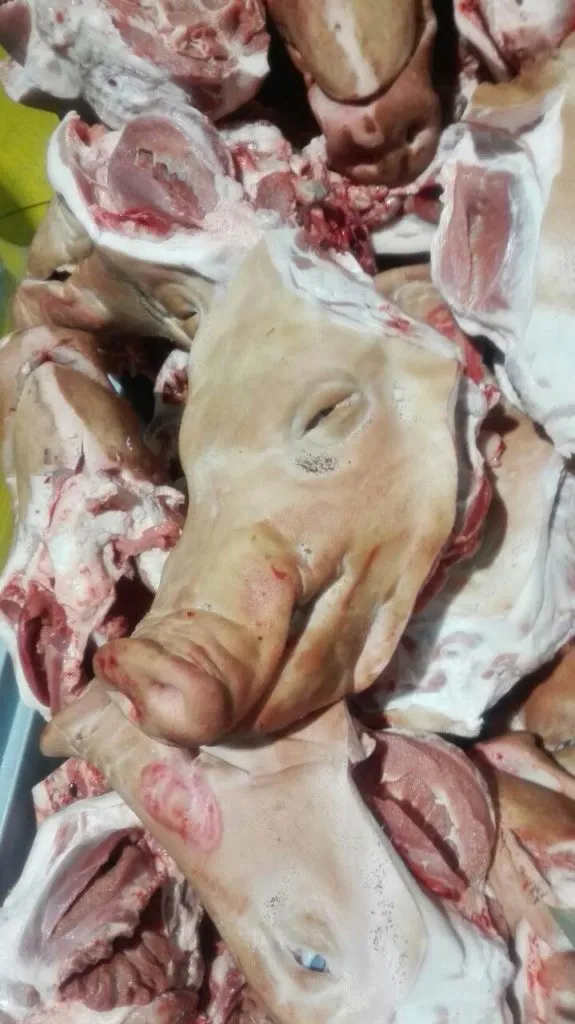 головы свиные Агро-Белогорье недорого в Белгороде 5