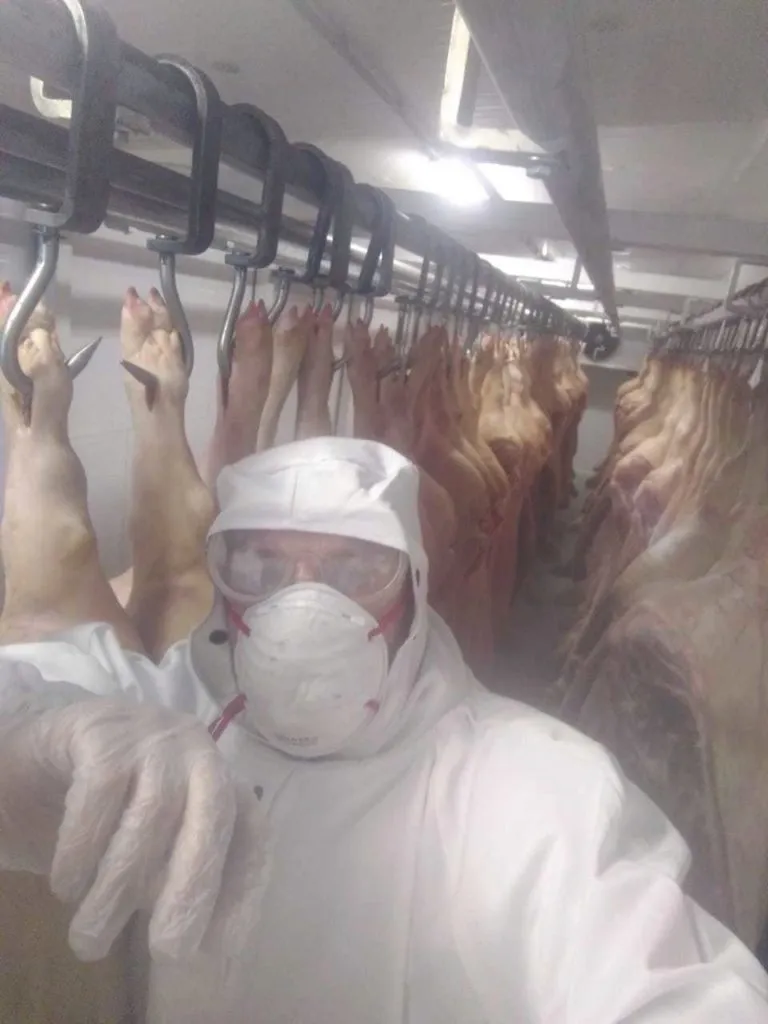 фотография продукта Перевозка мяса на подвесах  въезд в МСК