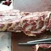 мясо говядины оптом в Белгороде 4