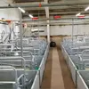 оборудование для свинокомплексов в Белгороде 5