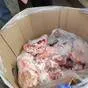 головы свиные ограбленые в Белгороде и Белгородской области