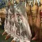 свинину говядину баранину  в Белгороде