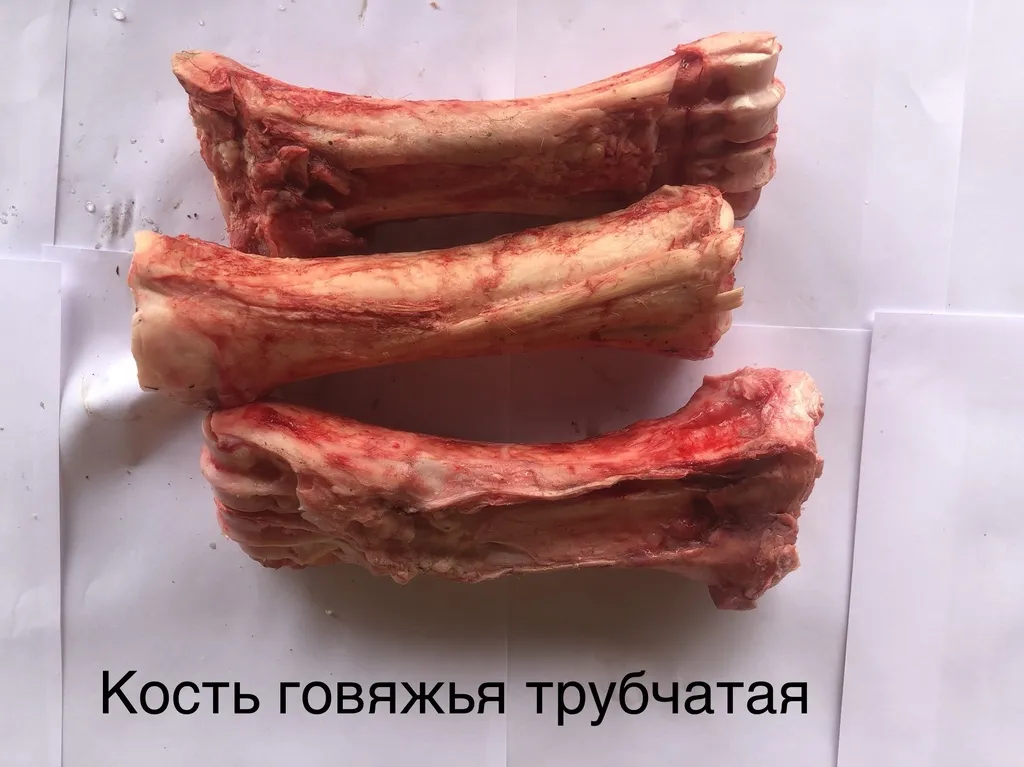 кость говяжья в Белгороде и Белгородской области 2