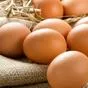 яйцо куриное и перепелиное в Орле и Орловской области