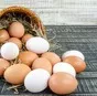 яйцо куриное и перепелиное в Орле и Орловской области 2