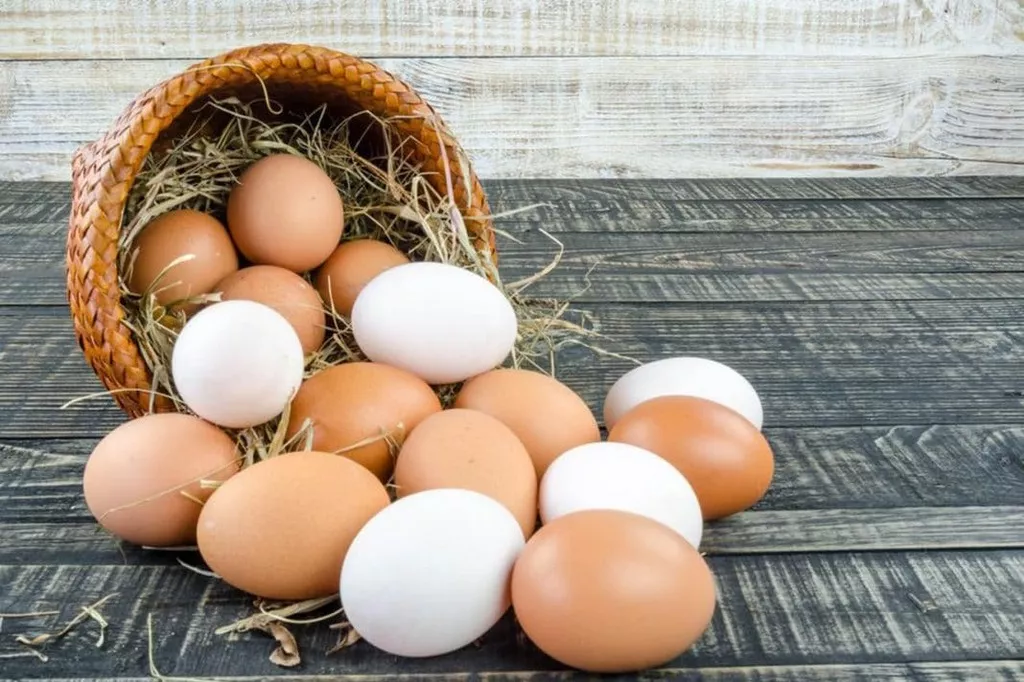 яйцо куриное в Белгороде и Белгородской области